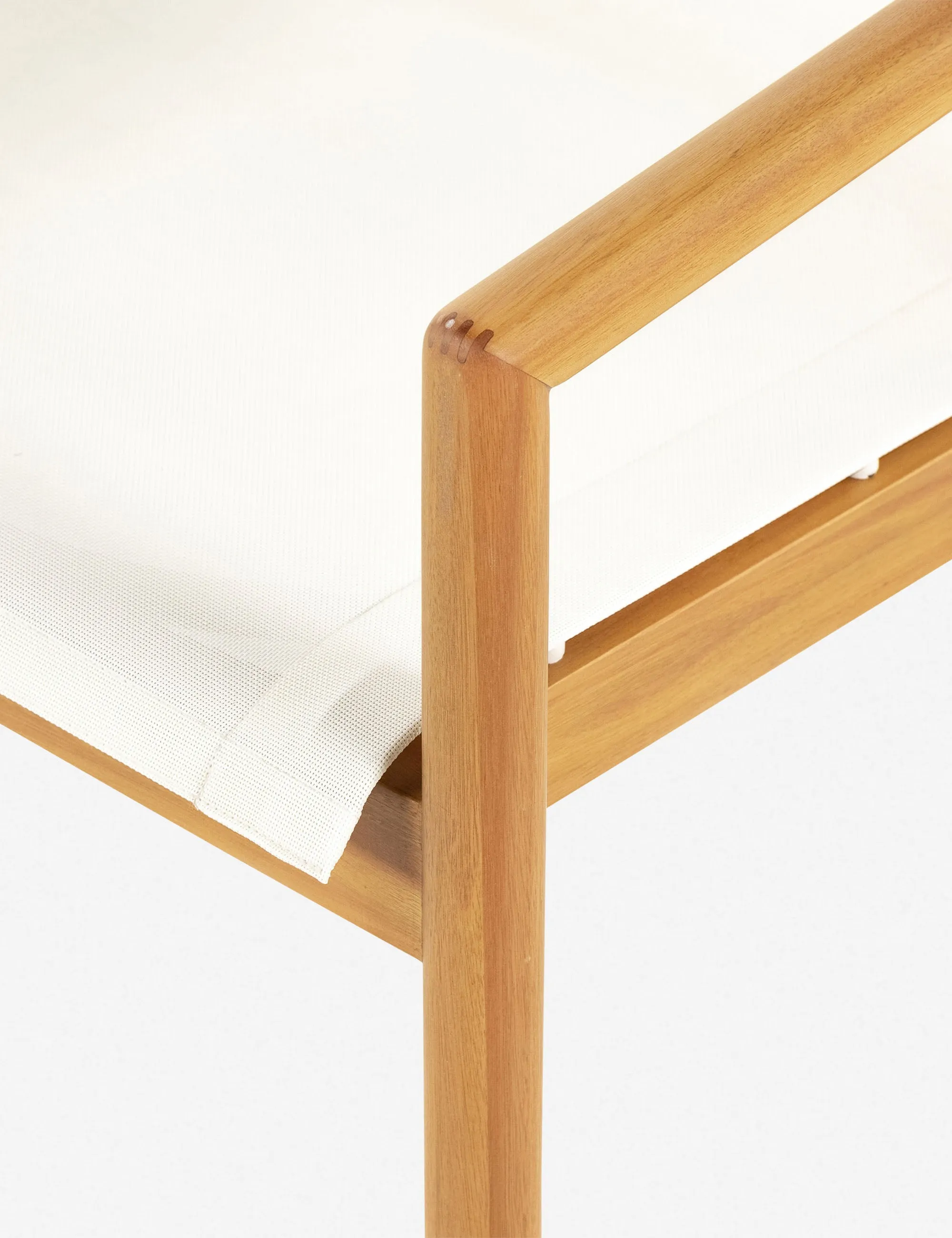Charise Indoor / Outdoor Accent Chair