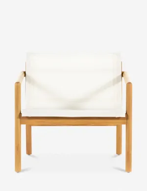 Charise Indoor / Outdoor Accent Chair