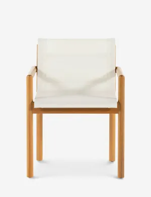 Charise Indoor / Outdoor Dining Chair