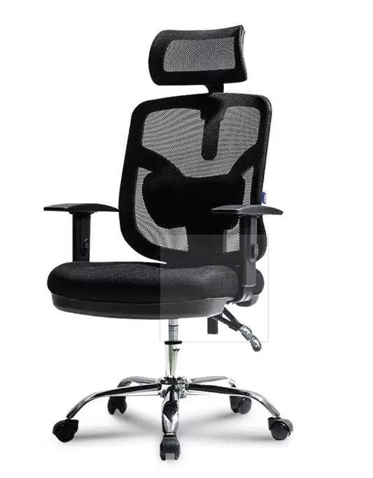 Executive Office Chair Ver.2 | Model: 101160