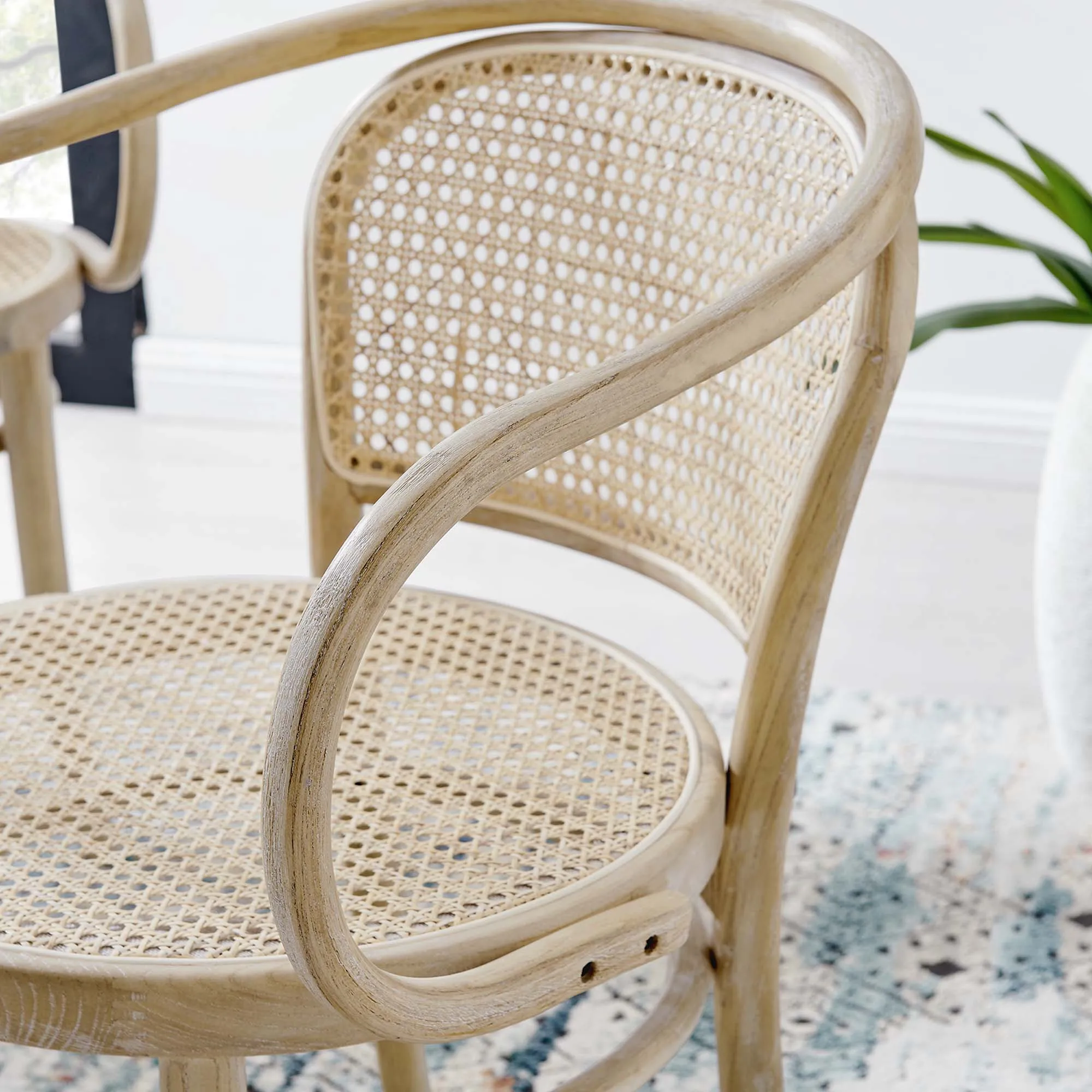 Oliana Wood Dining Armchair Set of 2 by Modway